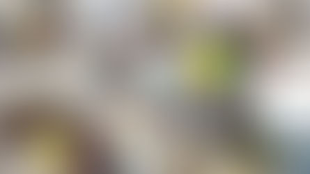 Перегляд робіт міського етапу конкурсу добрих практик освітян Житомирщини "Сучасна освіта-2024". ЗДО