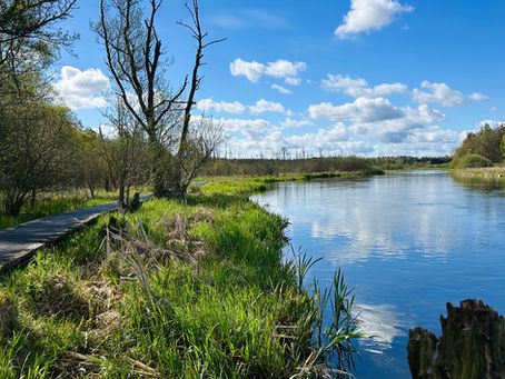 Kongensbro - Høj Stene.