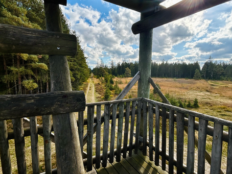 Stjernen observationstårn.