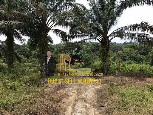 Kota Tinggi - Agricultural Land - 56 acres