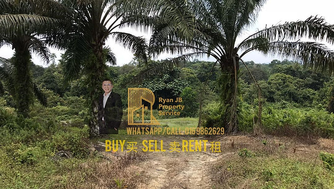 Kota Tinggi - Agricultural Land - 56 acres