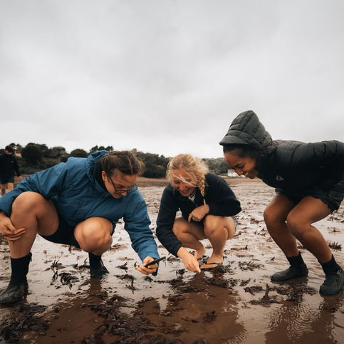 participants in scientific residency sharkademy