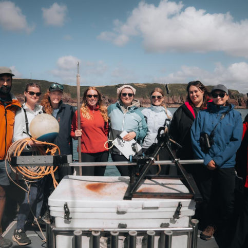 group around a BRUV on a boat