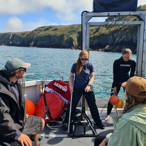 demonstration of baited underwater video BRUV in scientific residency sharkademy