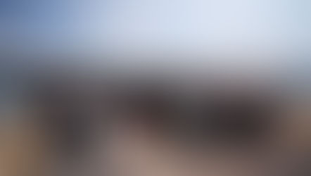 Sharkademy 2024: Supporting the Next Generation of Shark Scientists in the UK