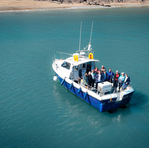 aerial shot of swim with blue shark tour