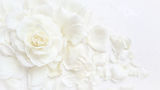 AdobeStock_286646071.jpeg