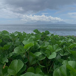 IMG_1699_edited.jpg