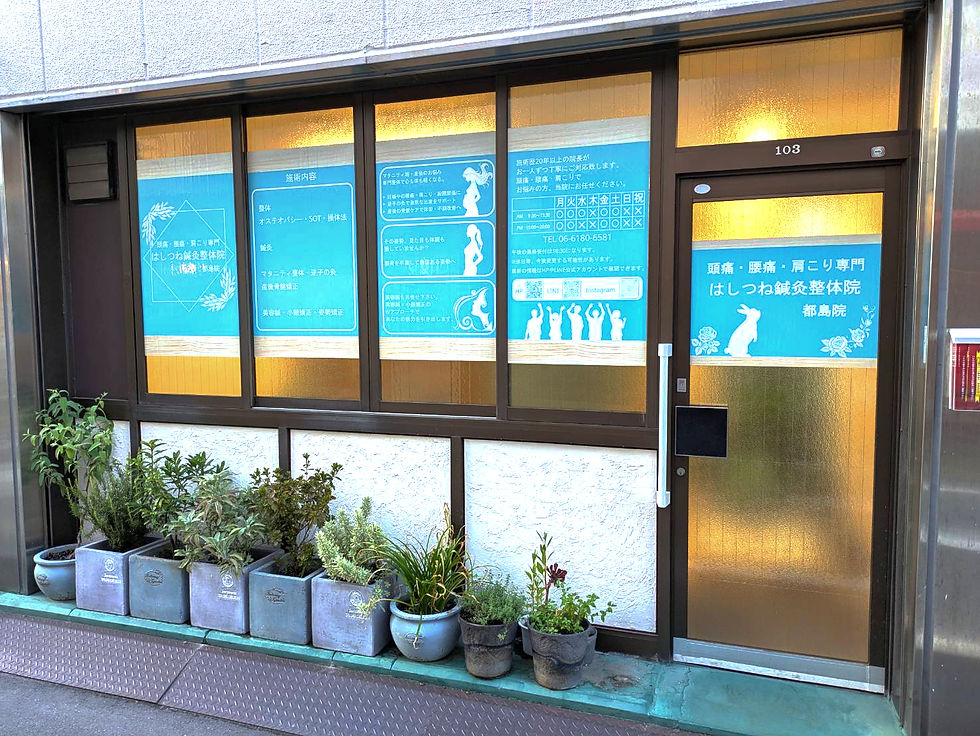 頭痛・腰痛・肩こり専門【はしつね鍼灸整体院】都島院の外観