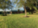 rcc-pic11