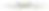 flower divider.png