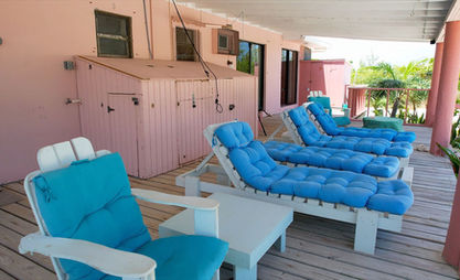 ConchSuite14.jpg