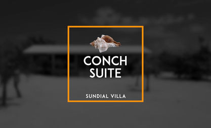 ConchSuite.jpg