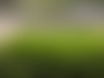 Medical Cannabis: Facts vs. Misconceptions