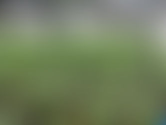 CBD vs. THC: What’s the Difference and Why It Matters