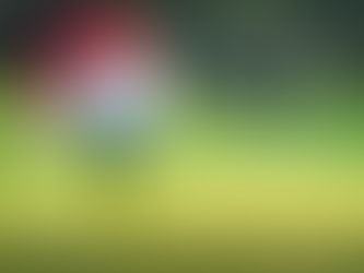 Noticia MyGolfWay: Abiertas inscripciones torneo navideño en Infinitum Golf