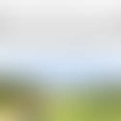 Noticia REVISTA WOMAN del calendario del circuito woman golf