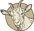 Fichier 1@2x-100.jpg