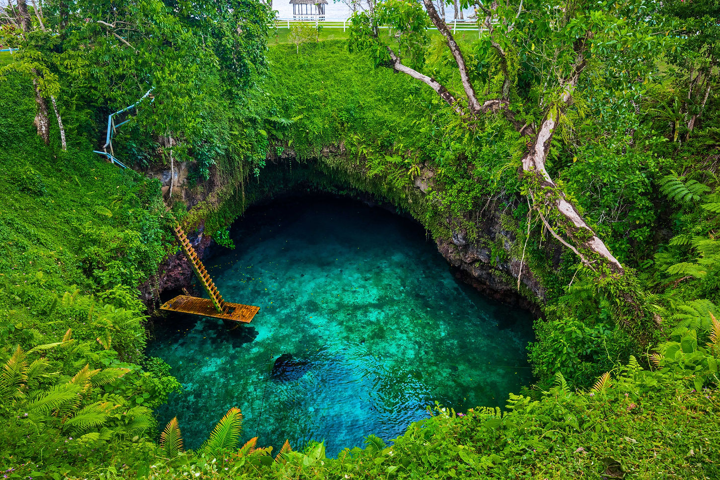 To Sua Trench compressed.jpg