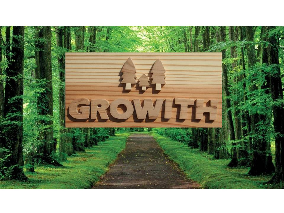 growith 20240316修正