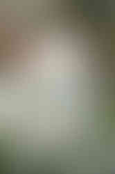 Starbucks Cup with Flowers Product Photography