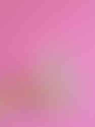 Gucci Floral Perfume Product Photography