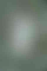 Starbucks Cup with Flowers Product Photography