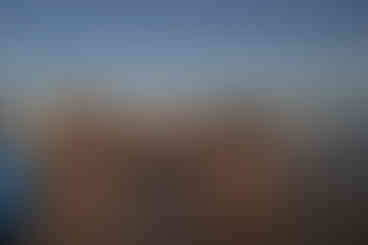 "Survivor" Themed Beach Philanthropy Event