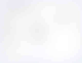 hector site google test score_edited.jpg