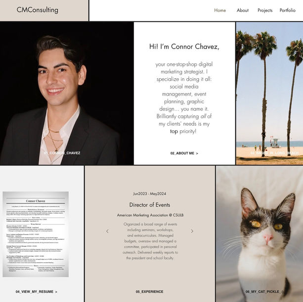Screenshot of New Website Landing Page