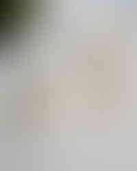 Gold Jewelry Product Photography