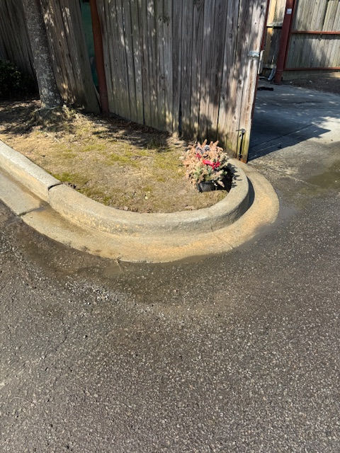 After Curb cleaning in Concord NC by Echelon Elite