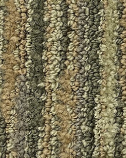 BL 04