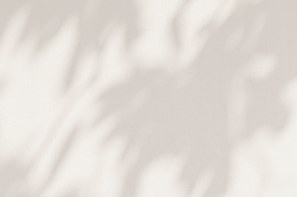AdobeStock_351490756.jpeg