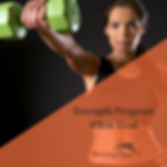 Tiles for strength programs-4.png