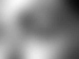 Women with Eyebrow Lamination