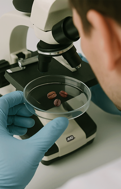 Teaser posts (24).png