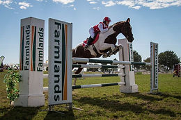 HORSE OF THE YEAR SHOW