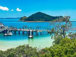 L3 TOURISM TRIP - PAIHIA