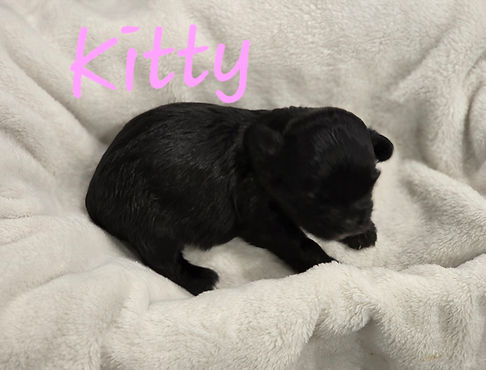 20251003_104832 (1).jpg