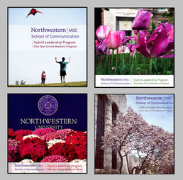Northwestern University graduate program brochure designs