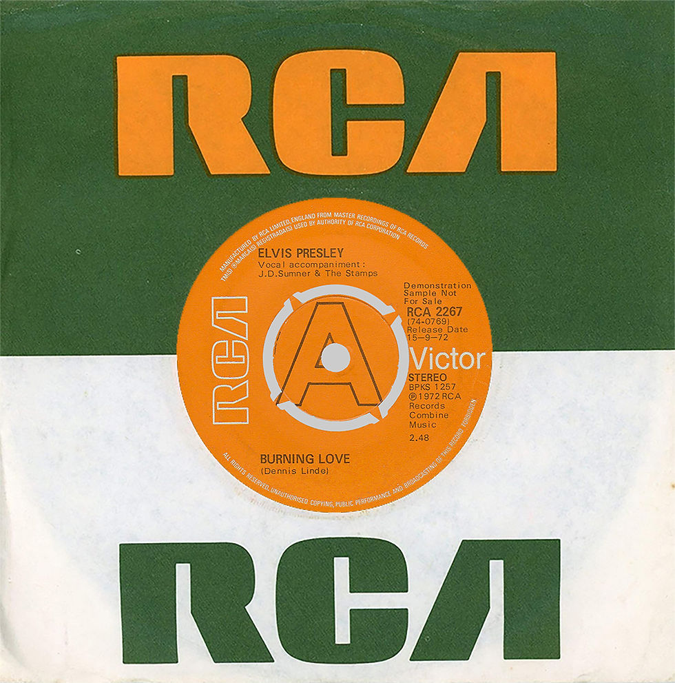 Burning Love Demo Sleeve - Side 1