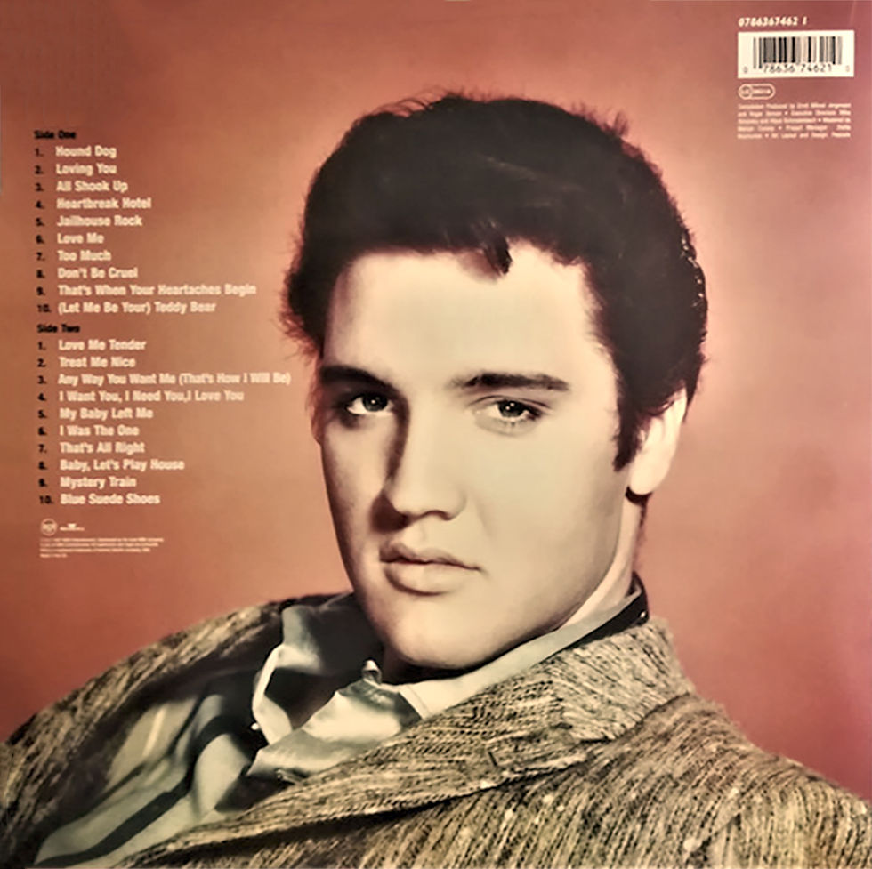 Sleeve Variation 1 - Rear