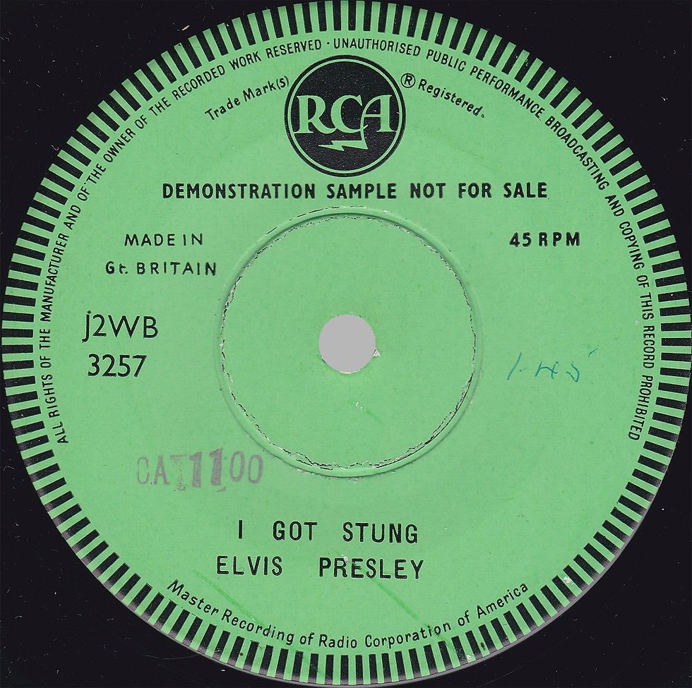 I Got Stung DS Demo - Side 2