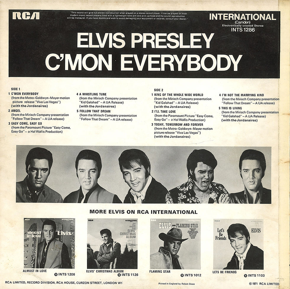 Sleeve Variation 1 - Rear