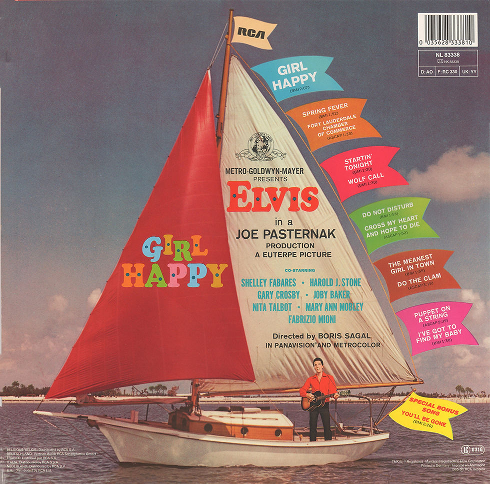 Sleeve Variation 1 - Rear