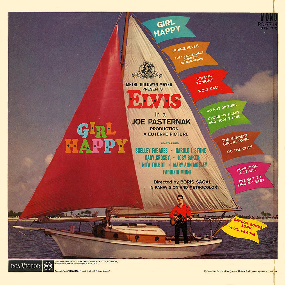 Sleeve Variation 1 - Rear