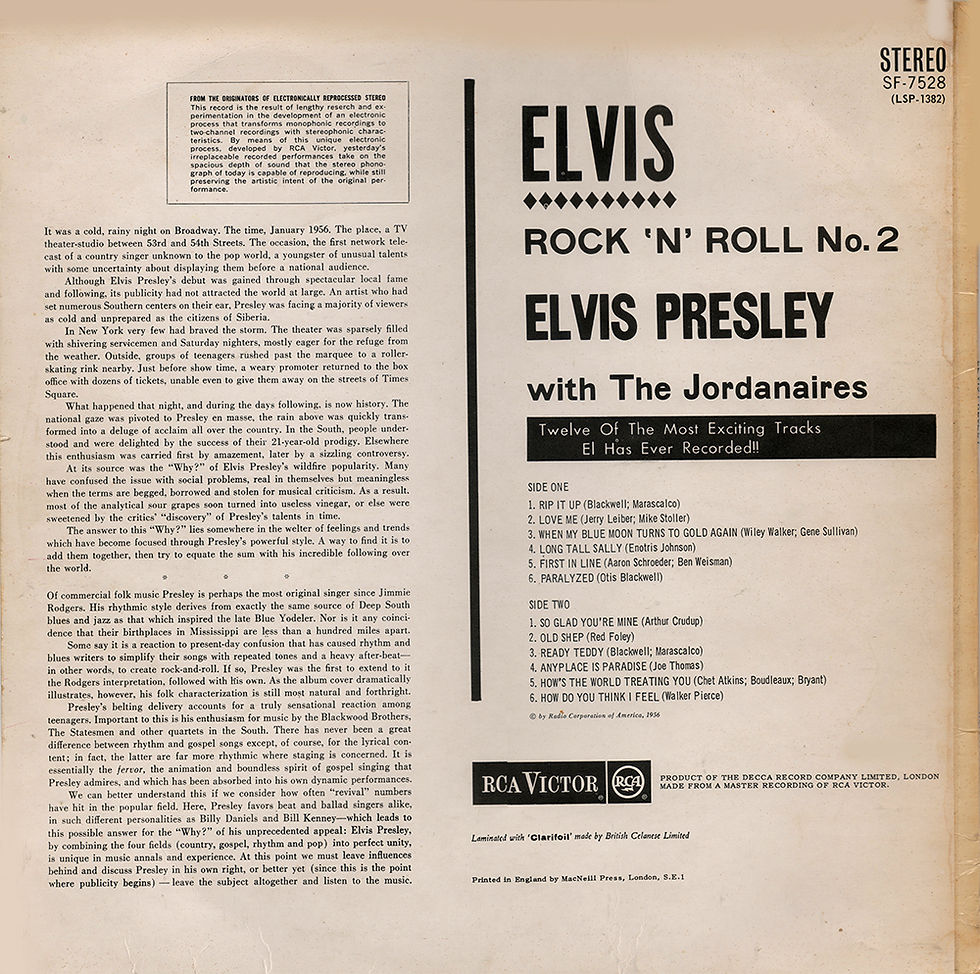 Sleeve Variation 2 - Rear