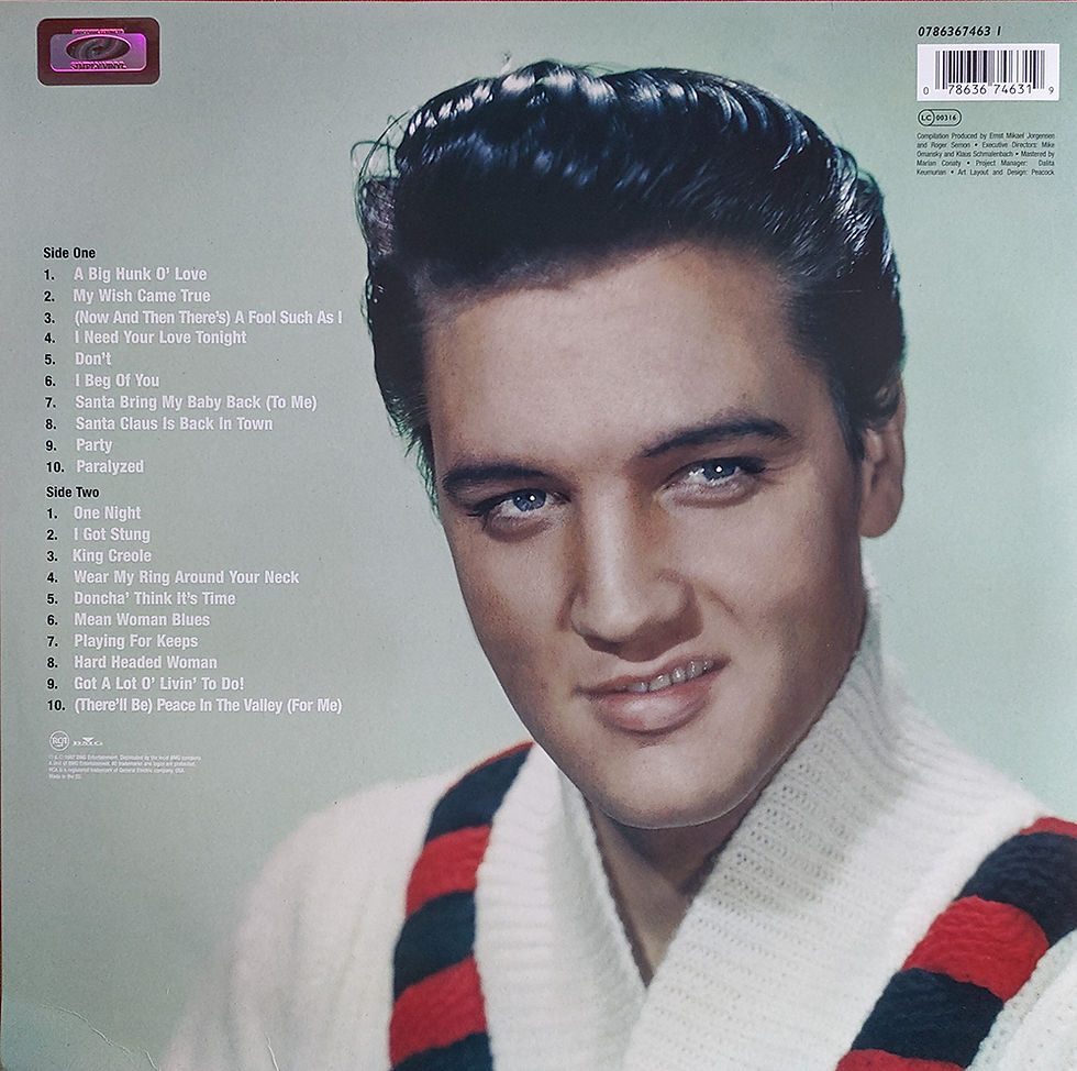 Sleeve Variation 1 - Rear