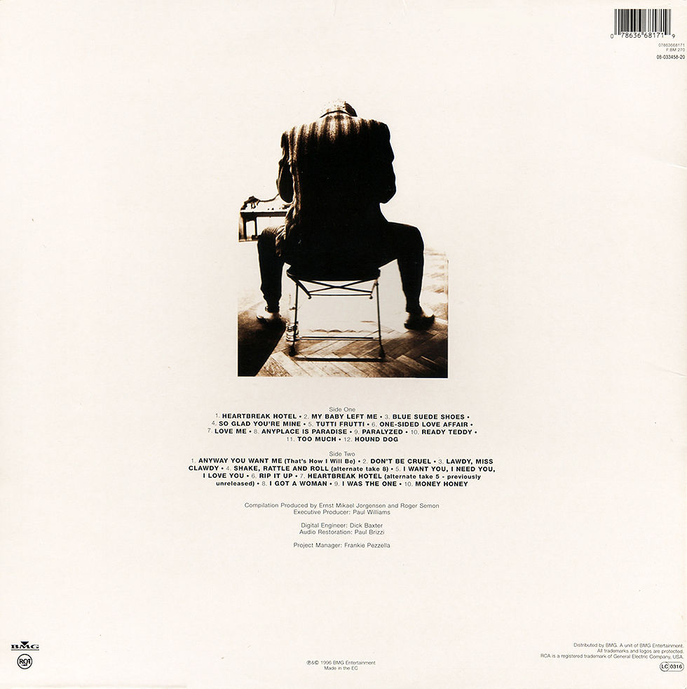 Sleeve Variation 1 - Rear